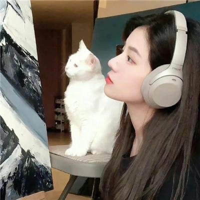 戴维